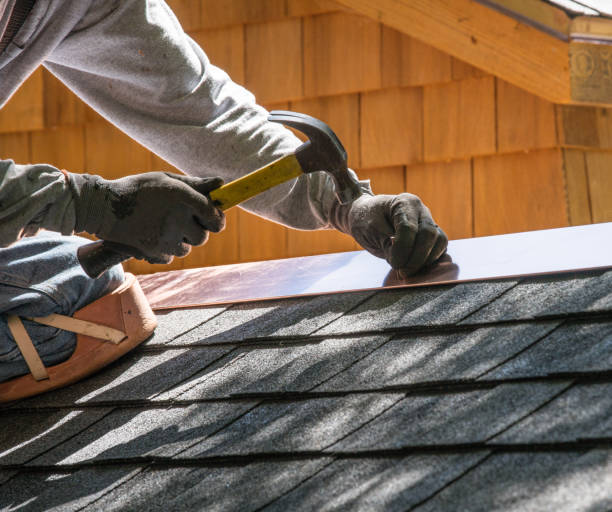 Roof Gutter Cleaning in Walnut Park, CA